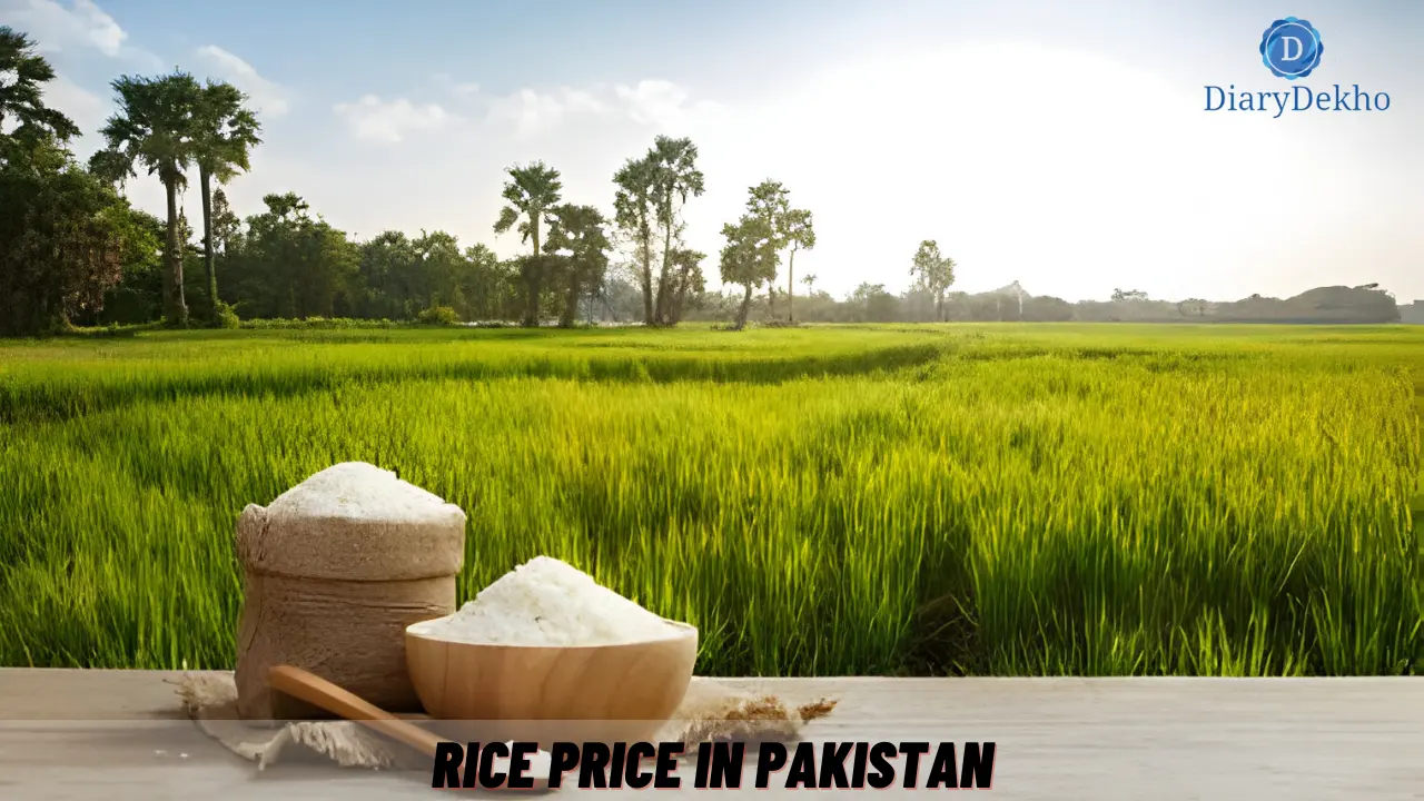 Rice Rates in Pakistan