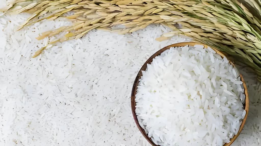 Rice Prices in Pakistan