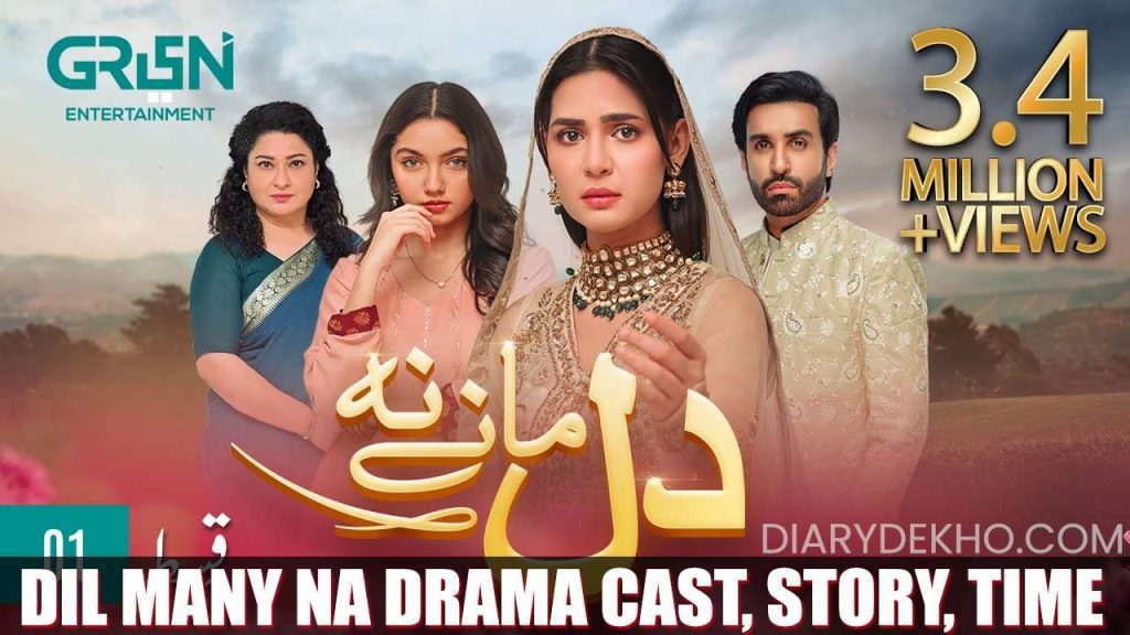 Dil Manay Na drama Cast