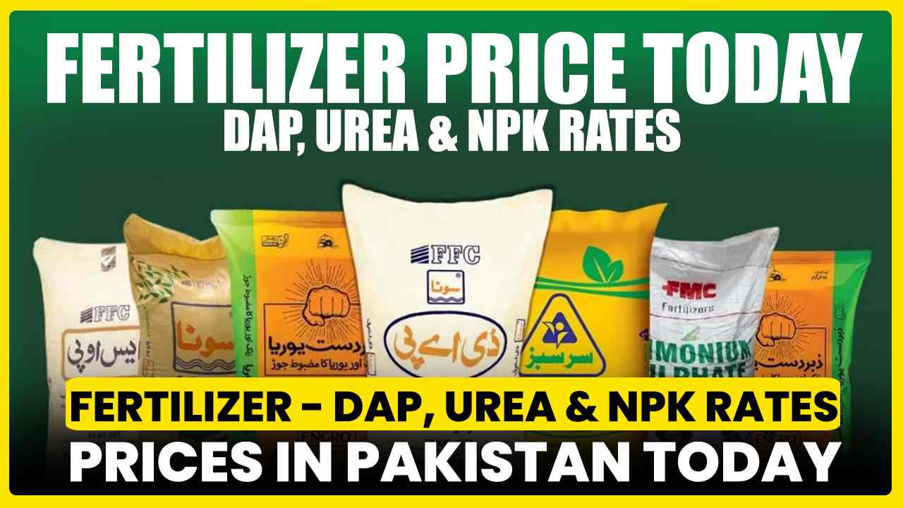 Fertilizer Price Today