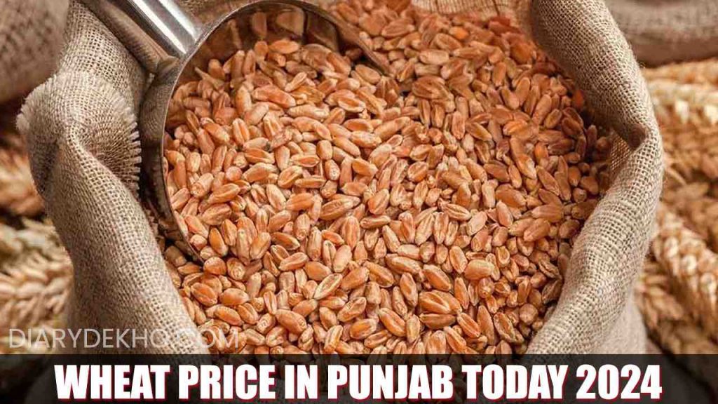 Wheat rate Today in Punjab