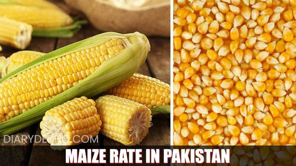 Maize Price in Pakistan