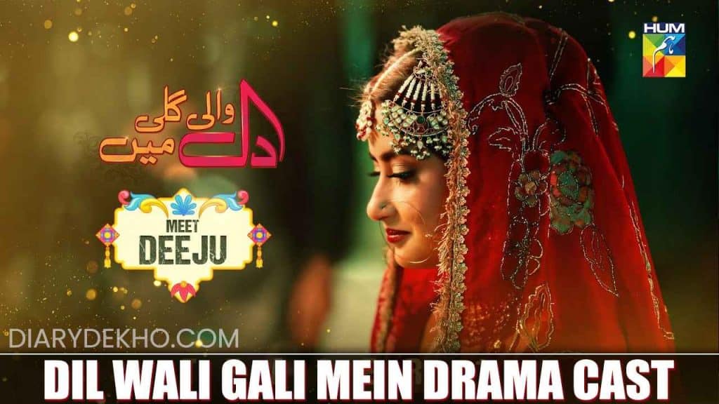 Dil Wali Gali Mein Cast